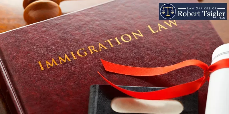 Immigration Lawyer