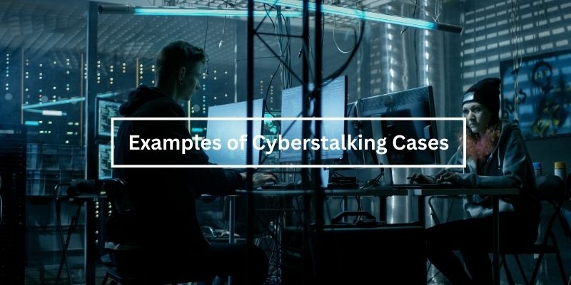 Examples of Cyberstalking Cases in New York 2024