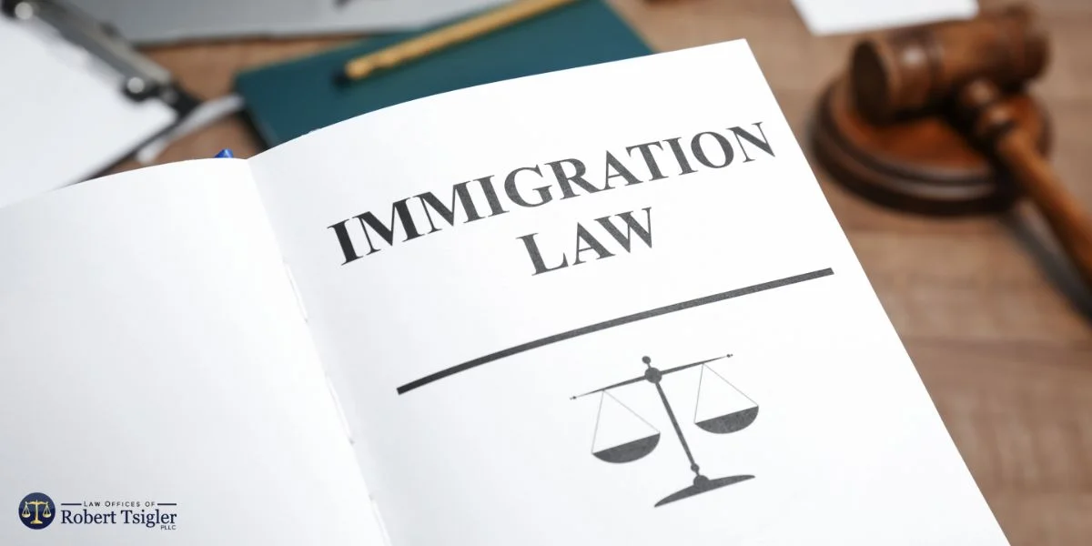 Key Strategies for Successful Deportation Defense in New York